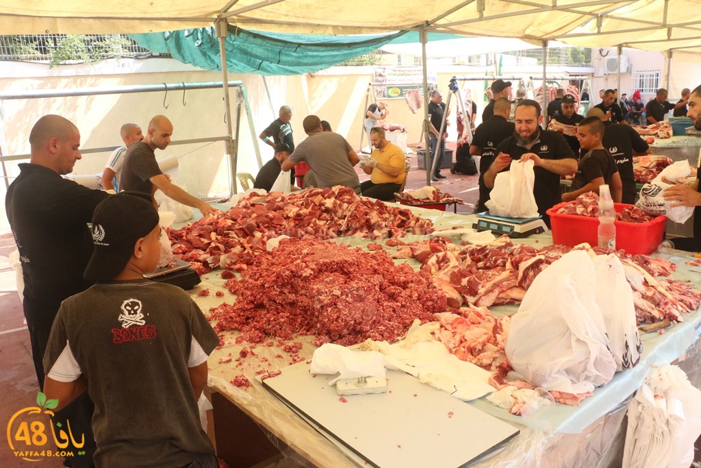 ada7y forthei (6).JPG